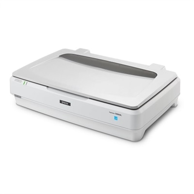 Epson Expression 13000XL - flatbed scanner - desktop - USB 2.0