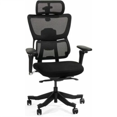 FlexiSpot Premium Ergo Max C7MAXB-FOAM Chair - Black