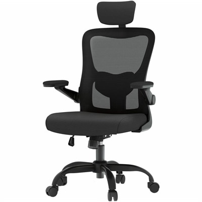 FlexiSpot OC1 Ergonomic Chair, Black