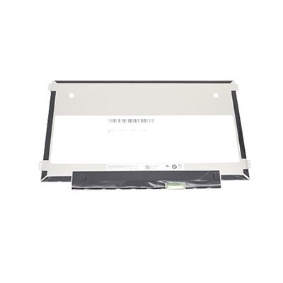 Dell 11.6