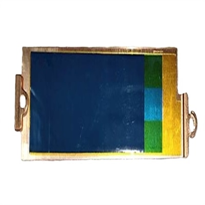 Dell SSD Bracket with Thermalpad