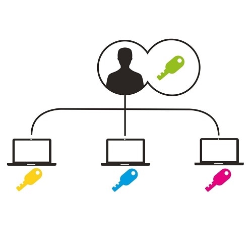 N17 Keyed Dual Head Laptop Lock for Dell Devices Master Keyed (25 locks