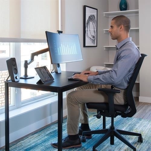 Ergotron LX Desk Monitor Arm (matte black) | Dell UK