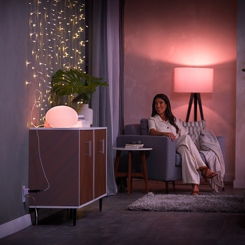 Philips Hue Smart Plug 5