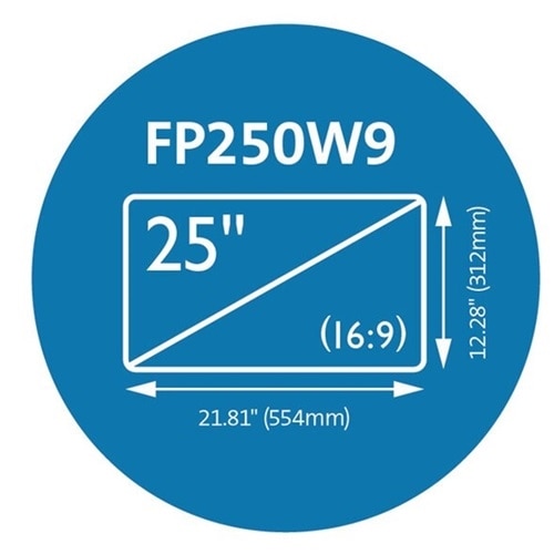 Kensington FP250W9 Privacy Screen for Monitors (25" 16:9) Tinted Clear 2