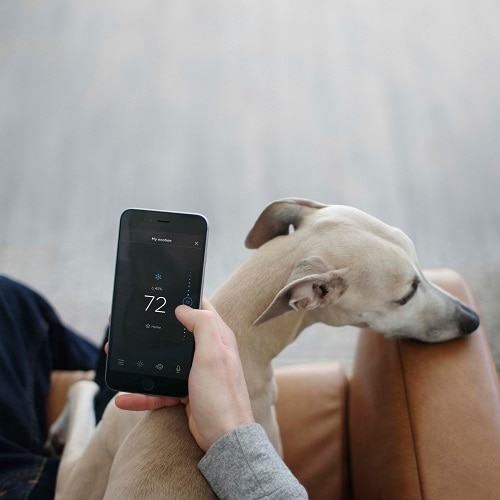 ecobee SmartSensor 2-pack 4