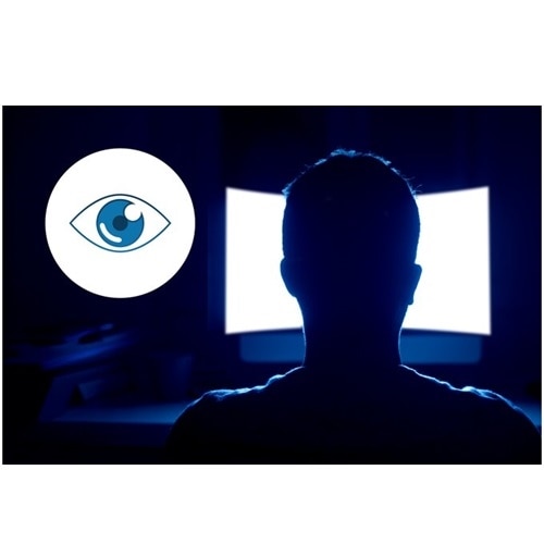 Kensington Privacy Screen Filter 3