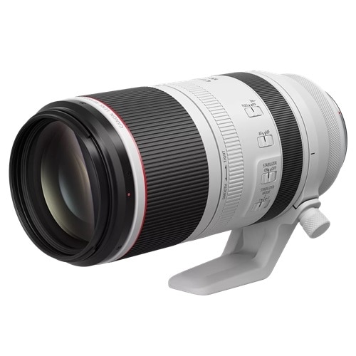 Canon - 100 mm to 500 mmf/7.1 - Super Telephoto Zoom Lens for Canon RF 6