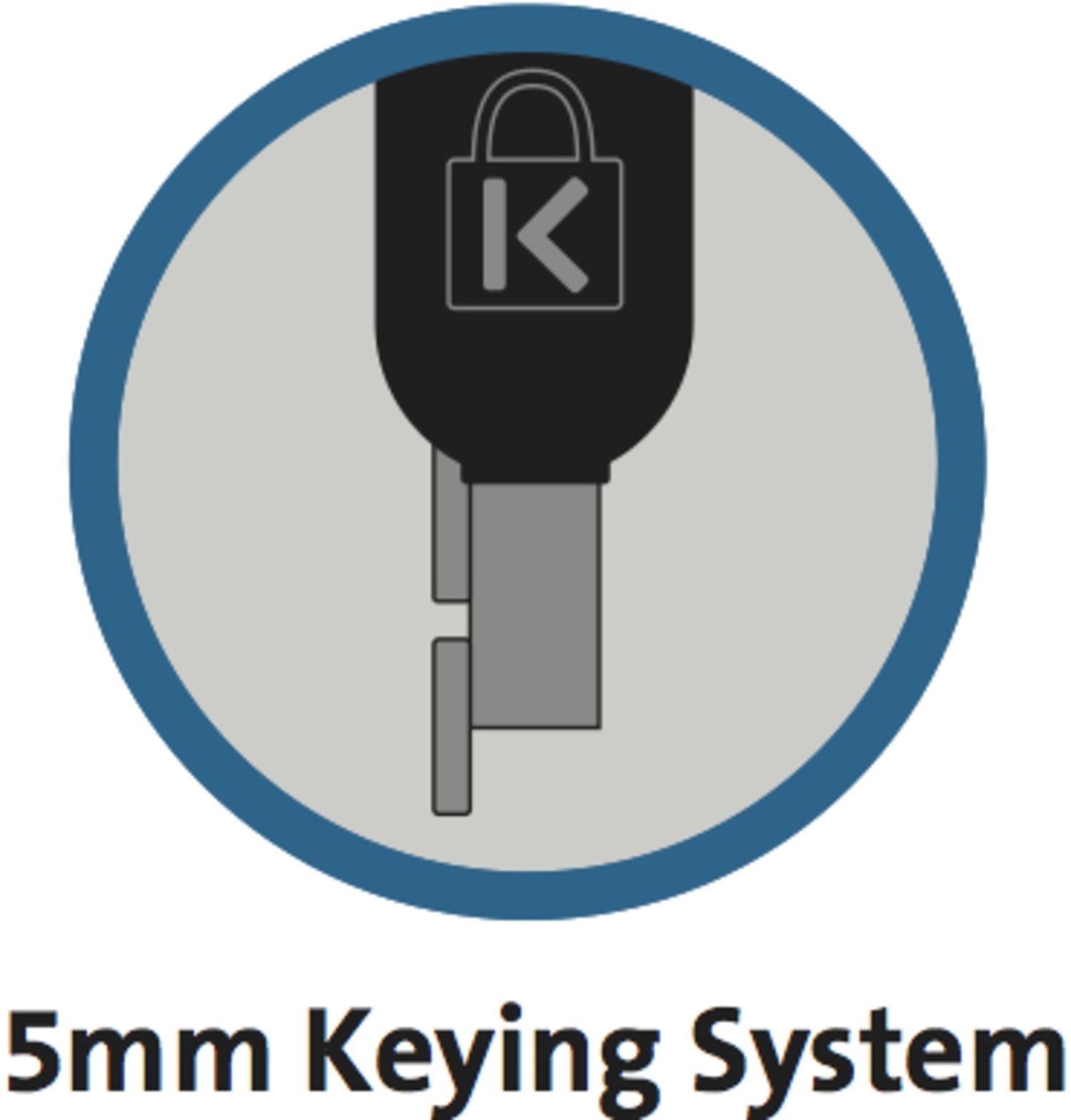 N17 2.0 Keyed Laptop Lock for Dell Devices Master Keyed (25 locks + Masterkey) 4