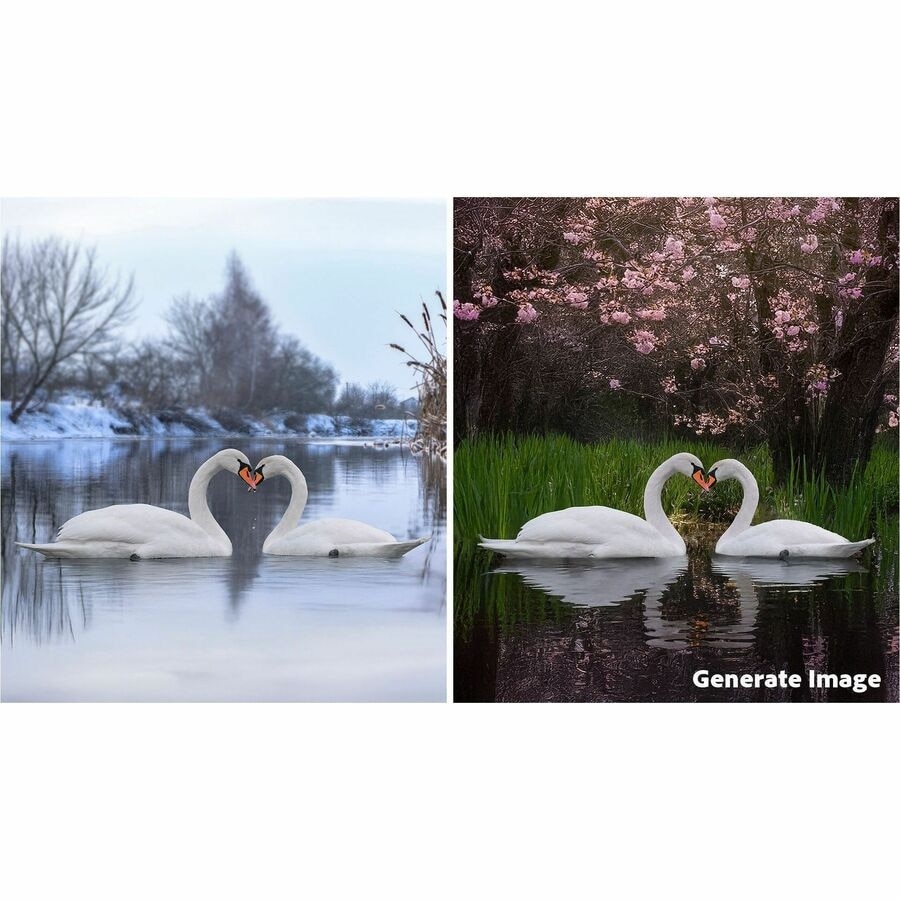 Download Adobe Photoshop and Premier Elements 2026 1 User 3 Year 2