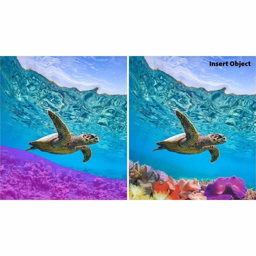 Download Adobe Photoshop and Premier Elements 2026 1 User 3 Year 3