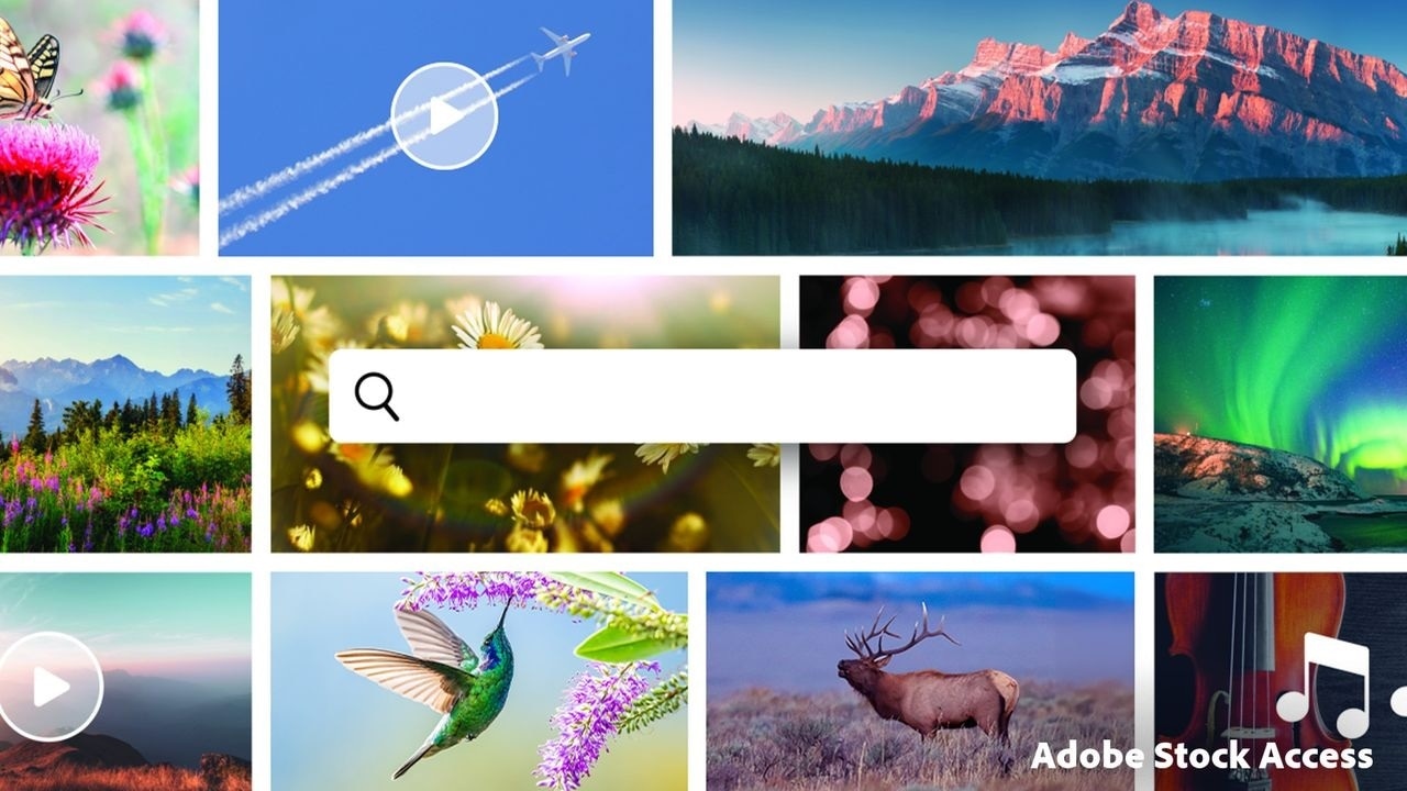 Download Adobe Premiere Elements 2026 1 User 3 Year Subscription 3