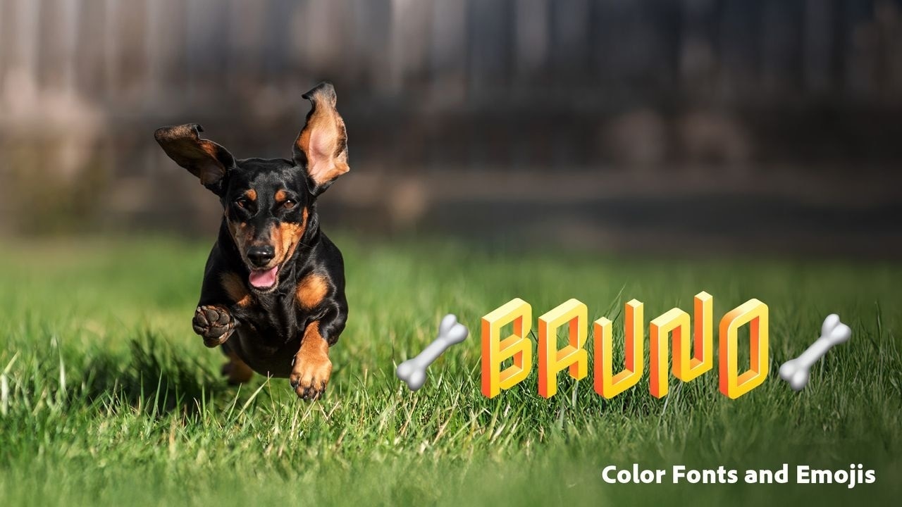 Download Adobe Premiere Elements 2026 1 User 3 Year Subscription 6