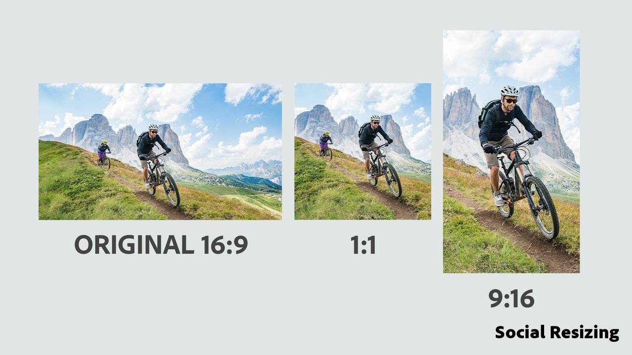 Download Adobe Premiere Elements 2026 1 User 3 Year Subscription 8