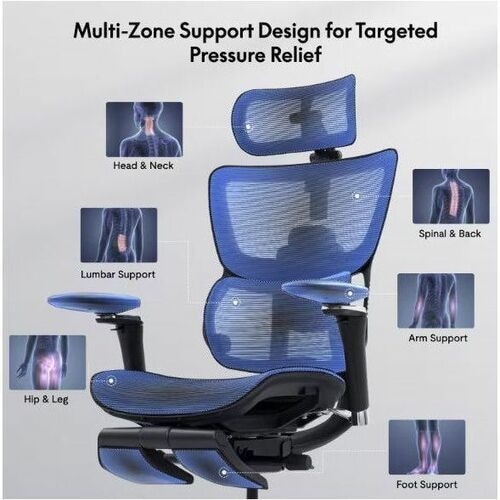 FlexiSpot Premium Ergo Max C7MAXB-M2 Chair 2