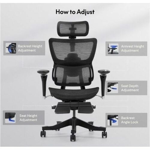 FlexiSpot Premium Ergo Max C7MAXB-M2 Chair 3