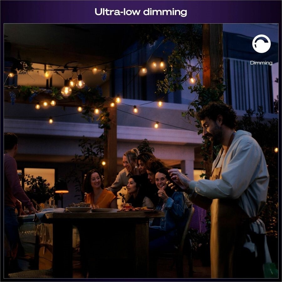 Philips Hue Festavia Globe Outdoor String Lights 22 ft 4