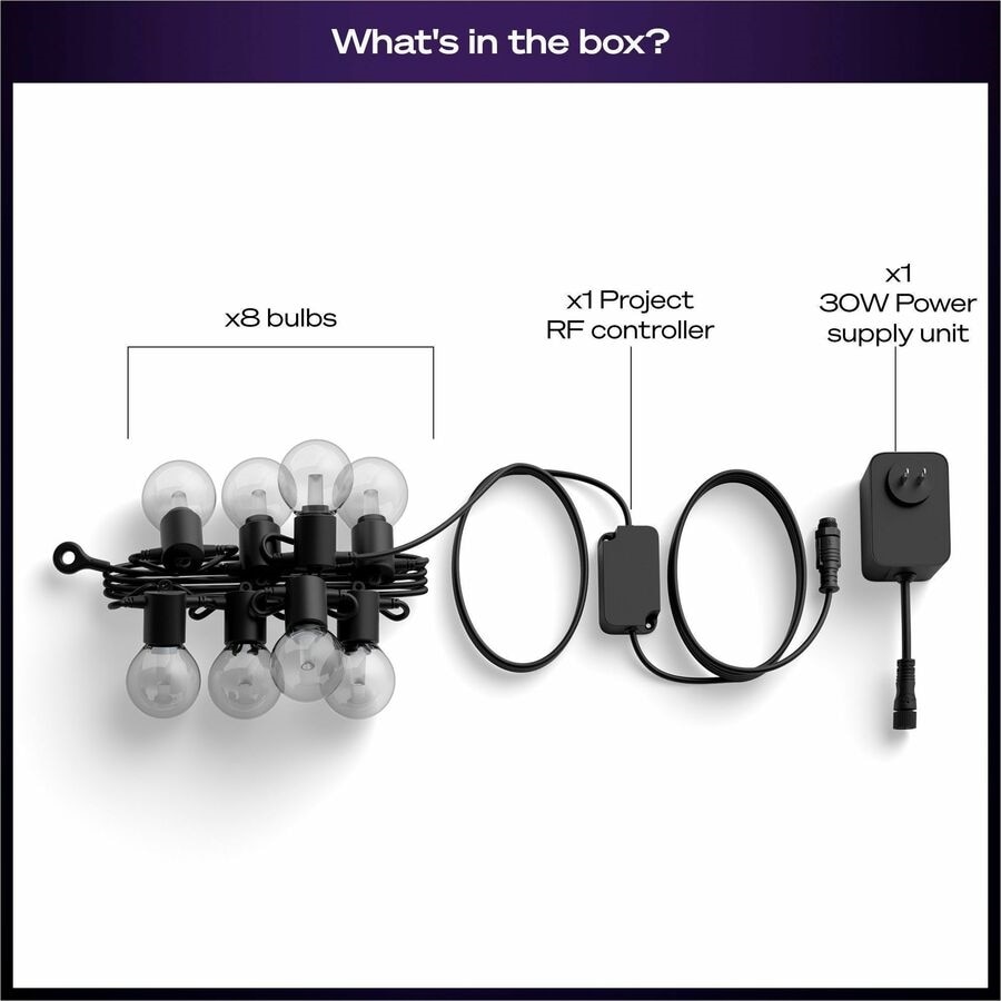 Philips Hue Festavia Globe Outdoor String Lights 22 ft 11