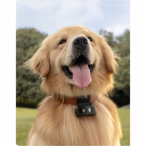 DJI Osmo NANO Standard Combo 128G 6