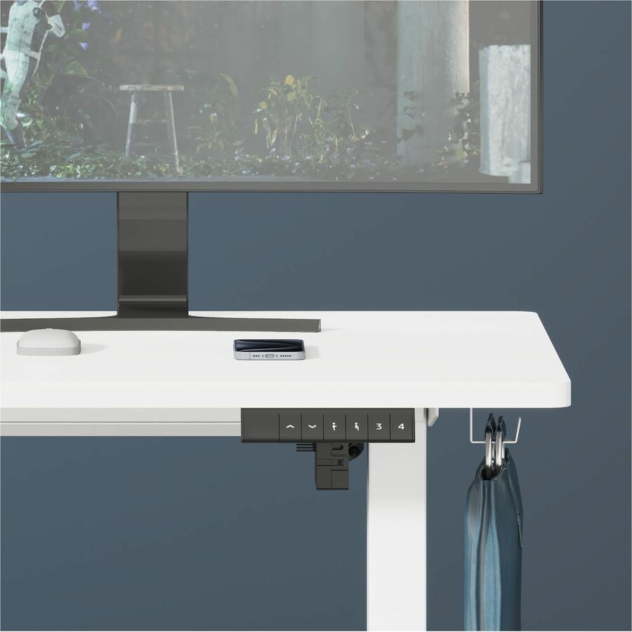 FlexiSpot Standing Desk E2 - White Top 4