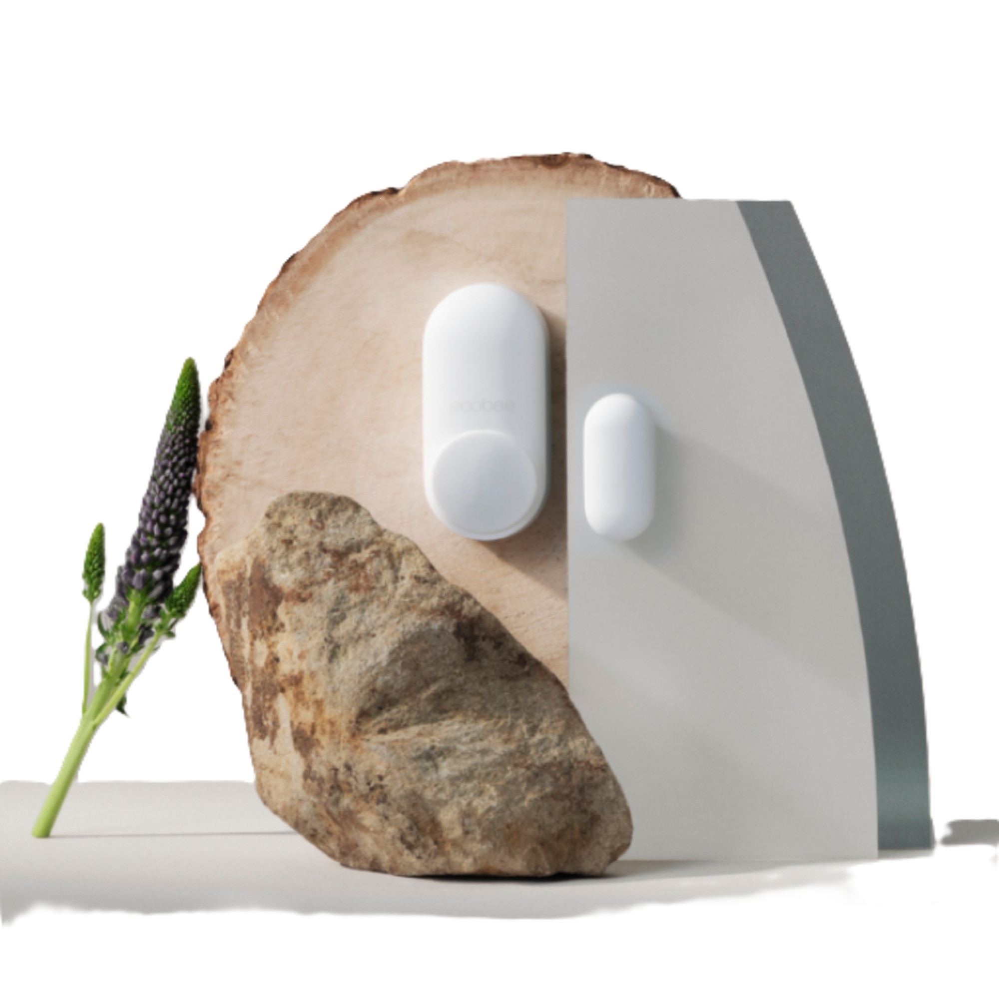 ecobee Total Security and Savings Bundle 10