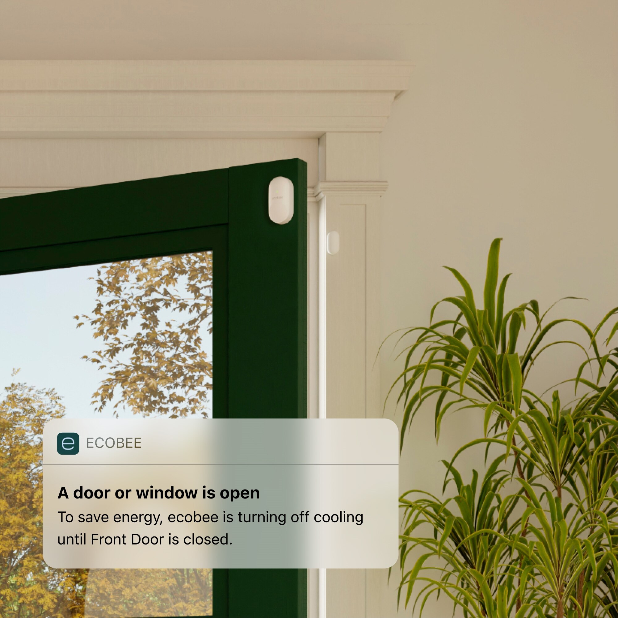ecobee Home Security Bundle 9