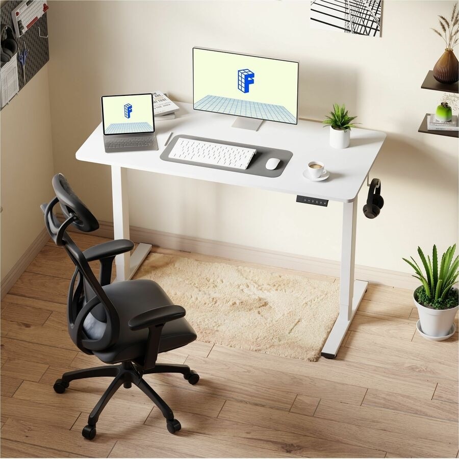 FlexiSpot EZ2 48" Wide Electric Adjustable Standing Desk with 2 Hooks and 1 Storage Box, White 11