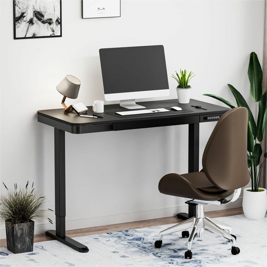 FlexiSpot EZ2 48" Wide Electric Adjustable Standing Desk with 2 Hooks and 1 Storage Box, Black 2