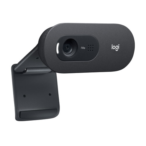 Logitech C505e - Web camera - colour - 720p - fixed focal - audio - USB 1