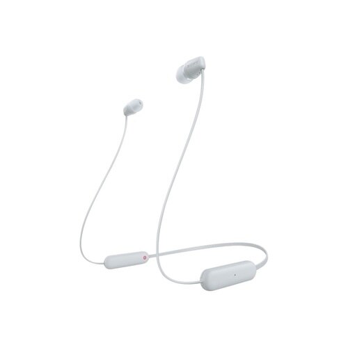 sony earphones high price