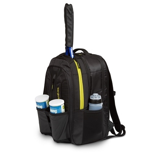 targus work and play backpack