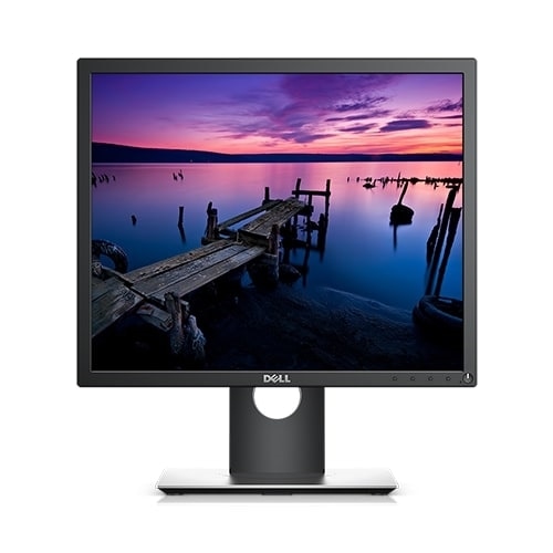 Dell 19 Monitor | P1917S