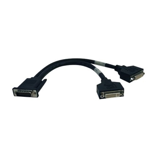 Tripp Lite DVI Splitter - DMS-59 (Male) - DVI-I (Female) - 1 ft Molded  Cable - Black 1