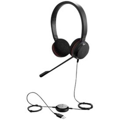 Jabra Evolve 20 UC stereo - Headset - on-ear - wired - USB 1