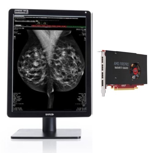 Dell medical grade monitor