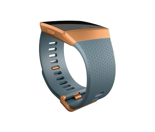 Fitbit Ionic Smart Watch Bluetooth, Wi-Fi, NFC 1.76 oz - Burnt Orange, Slate Blue