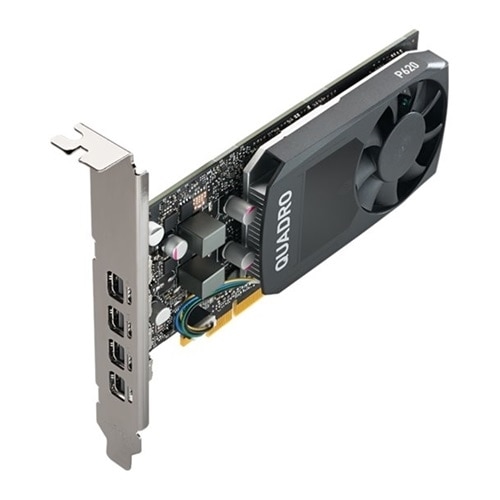 NVIDIA Quadro P620 - Graphics card - Quadro P620 - 2 GB GDDR5 - PCIe 3.0 x16 low profile - 4 x Mini DisplayPort