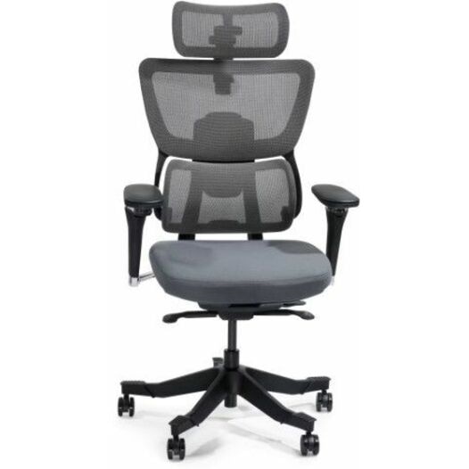 FlexiSpot Premium Ergo Max C7MAXG-FOAM Chair - Gray 1