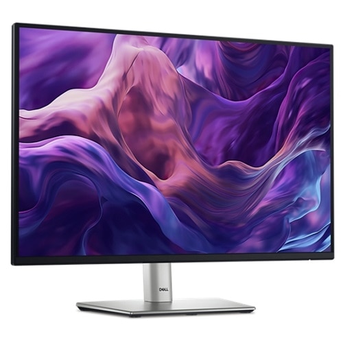 Moniteur 16:10 Dell Pro 24 Plus – P2425