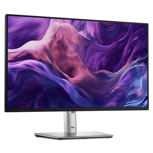 Moniteur Dell Pro 24 Plus - P2425H