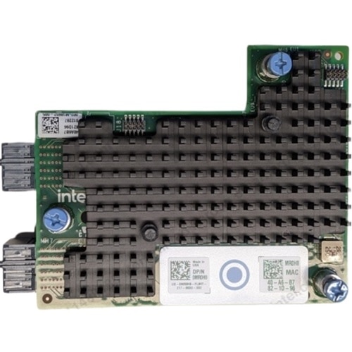Intel® 이중의포트 E810-XXV-k 10/25GbE 어댑터, Mezz  1