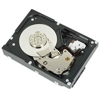 NPOS - 2TB 7.2K RPM SATA 6Gbps 512n 3.5in Cabled Hard Drive, CK