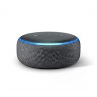 echo dot 3rd gen offline