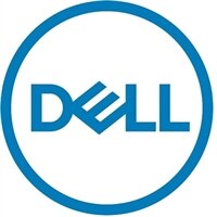 QSFP28-DD de direct attach pasivo de 200GbE No FEC (hasta 1 m) de Dell Networking