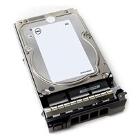 Dell 12TB 7.2K RPM NLSAS 12Gbps 512e 3.5" De Conexión En Marcha Disco duro