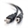 C2G - Kabel USB - 4-pinová sběrnice USB typu A (M) - USB 4 piny typ B (M) - 5 m ( USB / USB 2.0 ) - černá