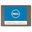 Dell Serial ATA Solid State Hard Drive - 256 GB