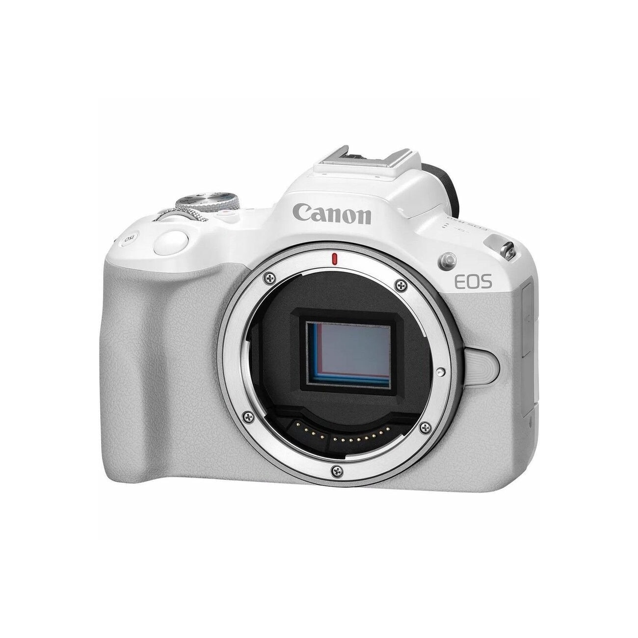 Canon EOS R50 ホワイト Canon EOS R50 24.2 Megapixel Mirrorless Camera Body Only - White