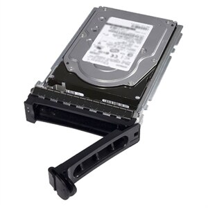 Dell 3.84TB SSD SAS Mix Use 12Gbps 512e 2.5in Drive in 3.5in Hybrid Carrier FIPS-140 PM5-V 1