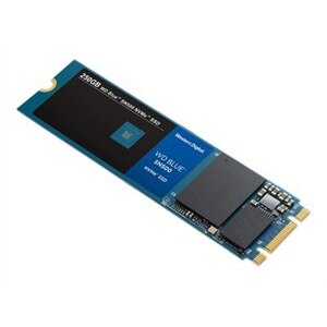 WD Blue SN500 NVMe SSD WDS500G1B0C - Solid state drive - 500 GB - internal - M.2 2280 - PCI Express 3.0 x2 (NVMe) 1